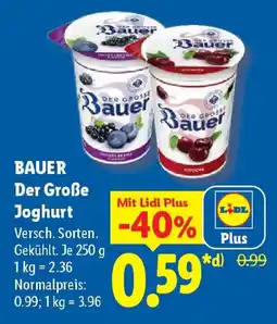 Lidl BAUER Der Große Joghurt Angebot