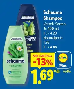 Lidl Schauma Shampoo Angebot