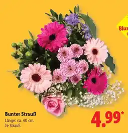 Lidl Bunter Strauß Angebot