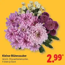 Lidl Kleiner Blütenzauber Angebot