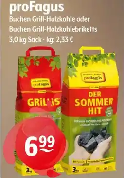 Getränke Hoffmann profagús Buchen Grill-Holzkohle oder Buchen Grill-Holzkohlebriketts Angebot