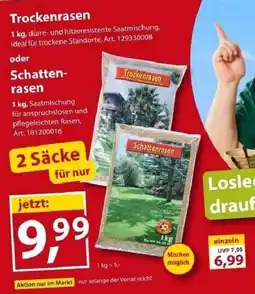 Sonderpreis Baumarkt Trockenrasen oder Schattenrasen Angebot