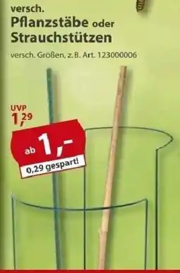 Sonderpreis Baumarkt versch. Pflanzstäbe oder Strauchstützen Angebot