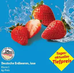 Lidl Deutsche Erdbeeren, lose Angebot