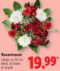 Lidl Rosentraum Angebot
