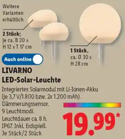 Lidl LIVARNO LED-Solar-Leuchte Angebot