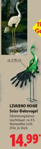 Lidl LIVARNO HOME Solar-Dekovogel Angebot