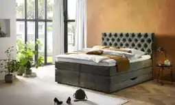 Möbel Inhofer Mondo Boxspringbett Angebot