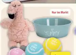 Fressnapf Beeztees Hunde Spielzeug Angebot
