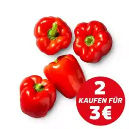 Kaufland Paprika Rot Angebot