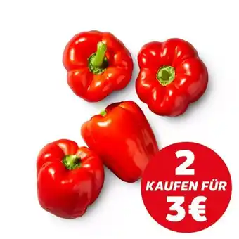 Kaufland Paprika Rot Angebot
