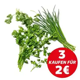 Kaufland Kräuter Angebot