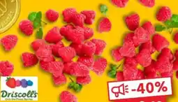 Kaufland Driscoll's Himbeeren Angebot