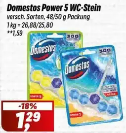 Simmel Domestos Power 5 WC-Stein Angebot