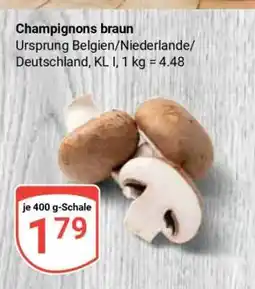 Globus Champignons braun Angebot