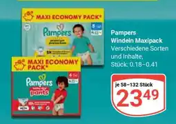 Globus Pampers Windeln Maxipack Angebot
