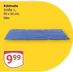 Globus Kühlmatte Angebot