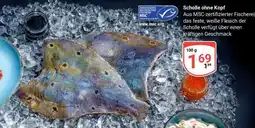 Globus Scholle ohne Kopf Angebot