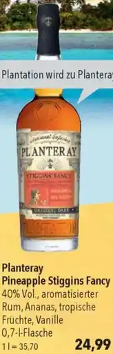 CITTI Markt Planteray Pineapple Stiggins Fancy Angebot