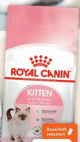 Fressnapf Royal Canin Second Age Kitten Angebot