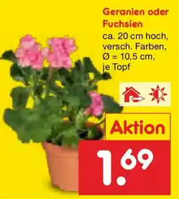 Netto Marken-Discount Geranien oder Fuchsien Angebot