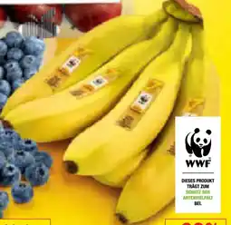 Netto Marken-Discount Bananen Angebot