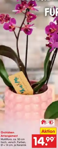 Netto Marken-Discount Orchideen Arrangement Angebot