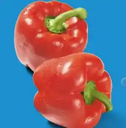 Lidl Rote Paprika Angebot