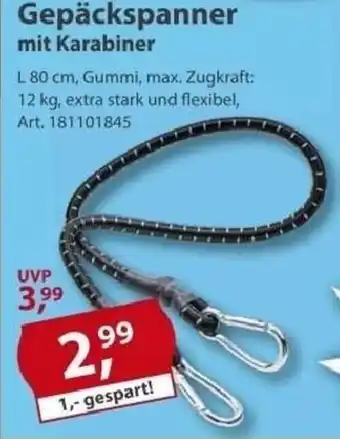 Sonderpreis Baumarkt Gepäckspanner mit Karabiner Angebot