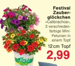 Jawoll Festival zauber glöckchen Angebot