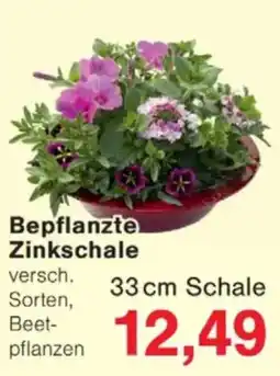 Jawoll Bepflanzte Zinkschale Angebot