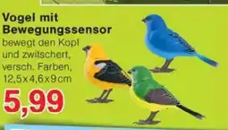 Jawoll Vogel mit Bewegungssensor Angebot