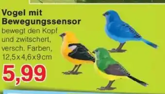 Jawoll Vogel mit Bewegungssensor Angebot