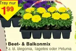 Jawoll Beet- & Balkonmix Angebot