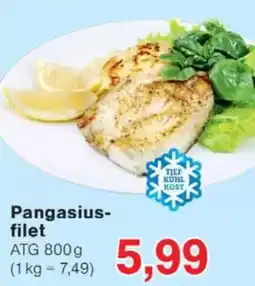 Jawoll Pangasiusfilet Angebot