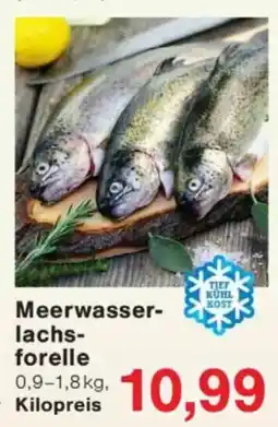 Jawoll Meerwasser lachs forelle Angebot