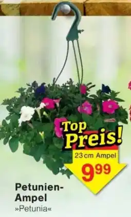 Jawoll Petunien- Ampel Angebot