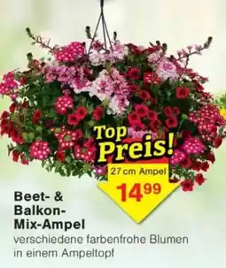 Jawoll Beet- & Balkon- Mix-Ampel Angebot
