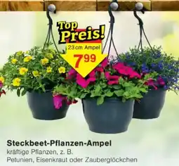 Jawoll Steckbeet-Pflanzen-Ampel Angebot