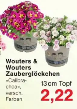 Jawoll Wouters & Wouters Zauberglöckchen Angebot