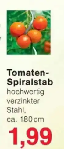 Jawoll Tomaten- Spiralstab Angebot