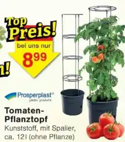 Jawoll Tomaten- Pflanztopf Angebot