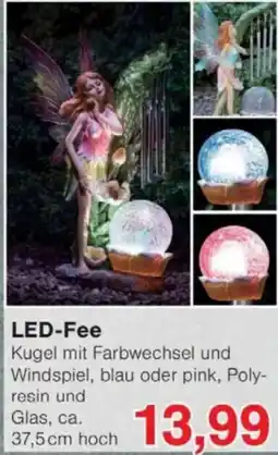 Jawoll LED-Fee Angebot
