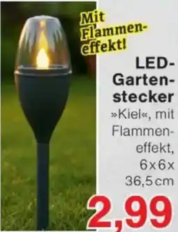 Jawoll LED- Gartenstecker Angebot