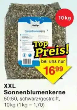Jawoll XXL Sonnenblumenkerne Angebot