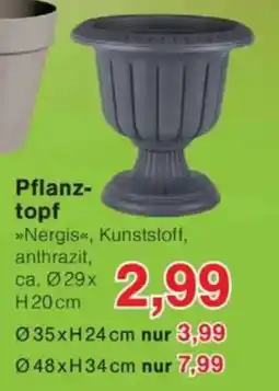 Jawoll Pflanztopf Angebot