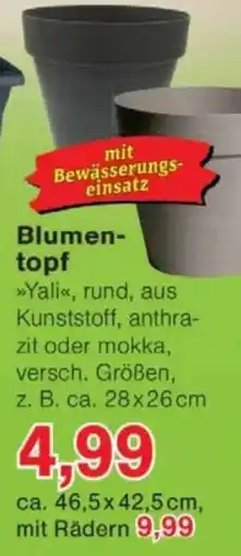 Jawoll Blumentopf Angebot