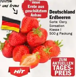 AEZ Deutschland Erdbeeren Angebot