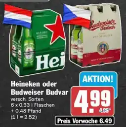 AEZ Heineken oder Budweiser Budvar Angebot