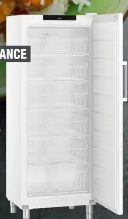 Handelshof Liebherr GEFRIERSCHRANK FFFSG 6501 PERFORMANCE Angebot